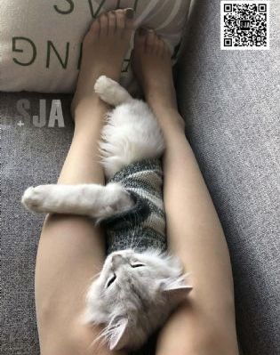 在线看的性视频网站_BD高清在线